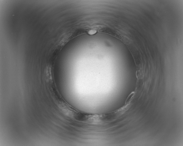 X0000053110182200507251706