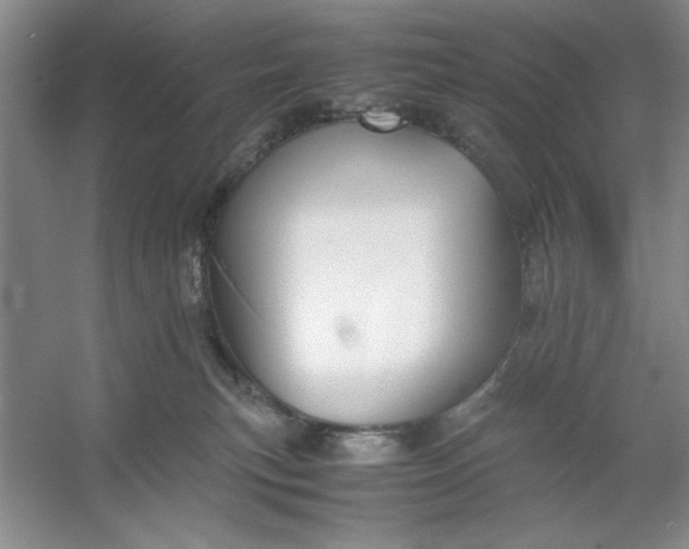 X0000053110183200507251706