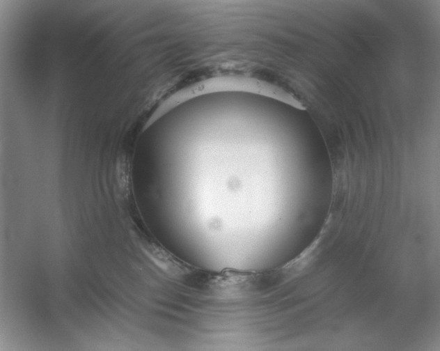 X0000053110186200507251706