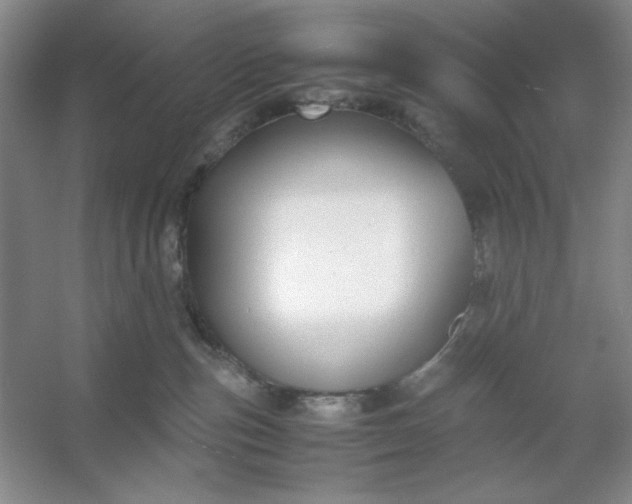 X0000053110187200507251706