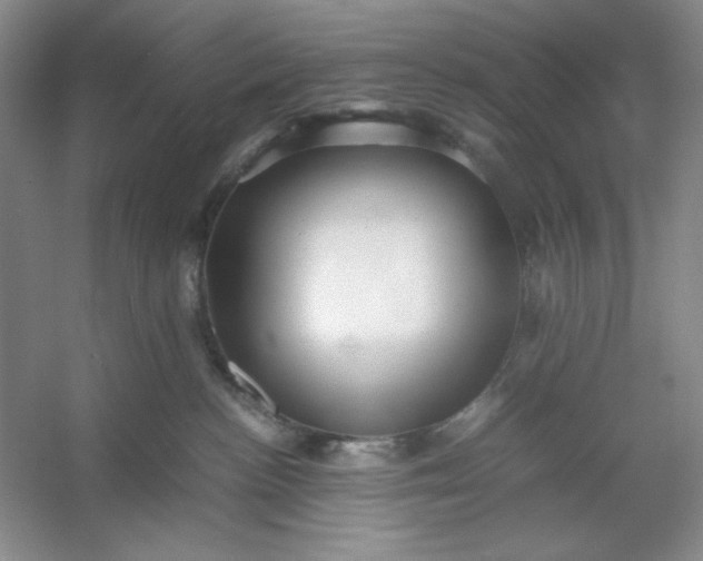 X0000053110188200507251706