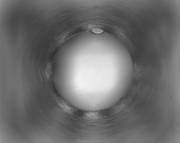 X0000053110189200507251706