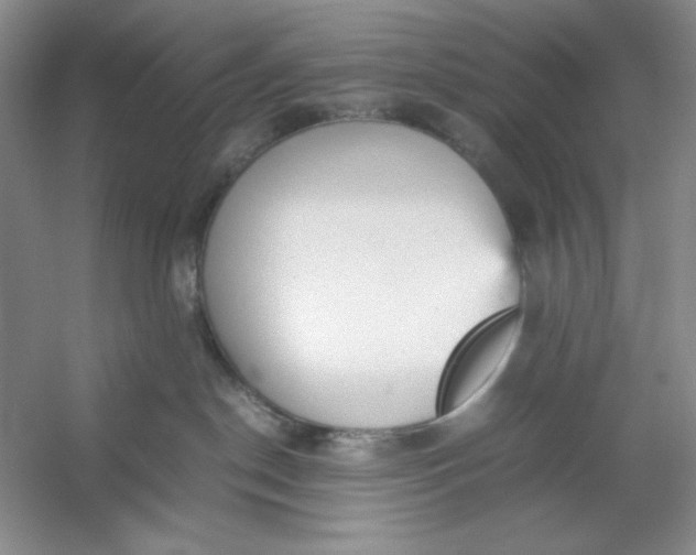 X0000053110190200507251707