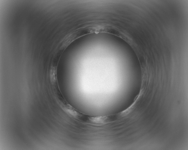 X0000053110191200507251707