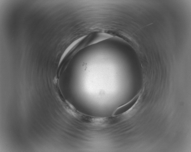 X0000053110192200507251707