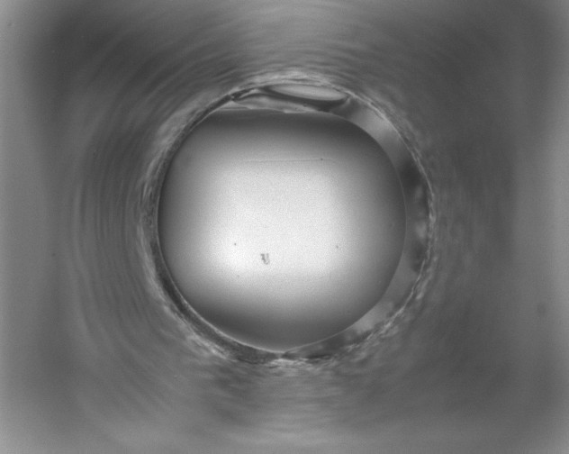 X0000053110193200507251706