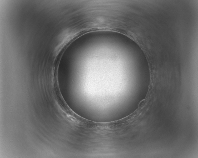 X0000053110194200507251706