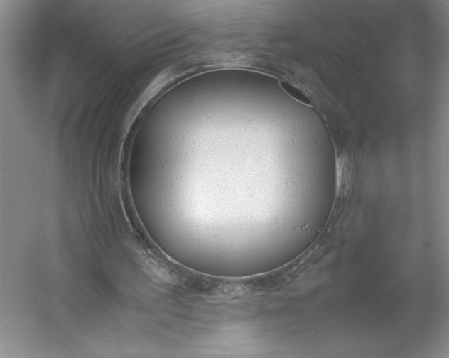 X0000053110195200507251706