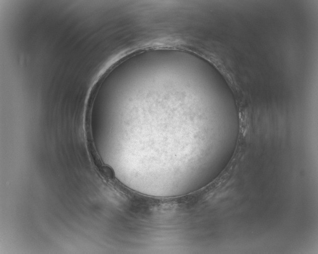 X0000053110196200507251706