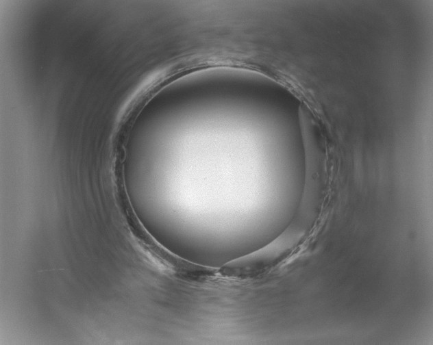 X0000053110197200507251706