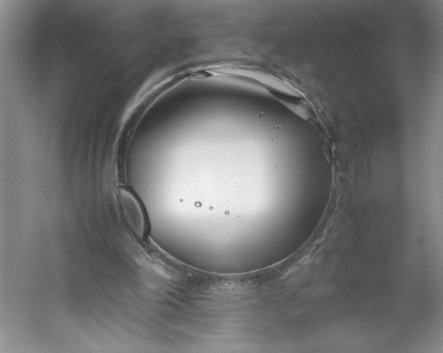 X0000053110198200507251706