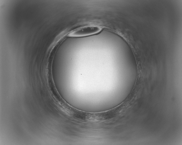 X0000053110199200507251706