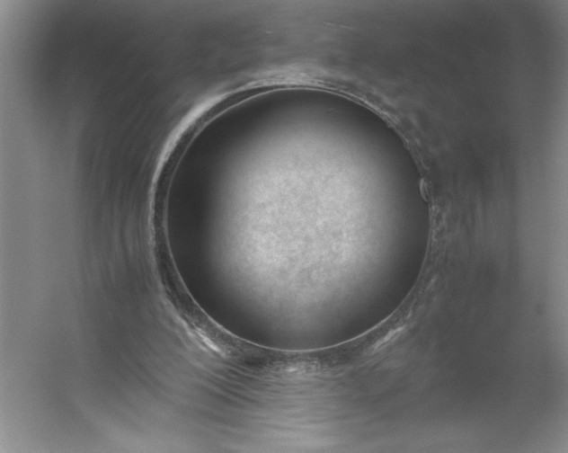 X0000053110200200507251706