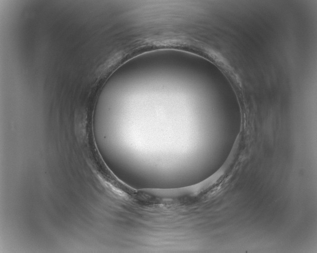 X0000053110201200507251706