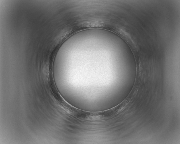 X0000053110202200507251706