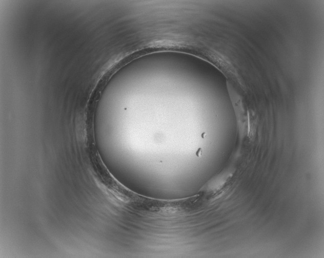 X0000053110204200507251706