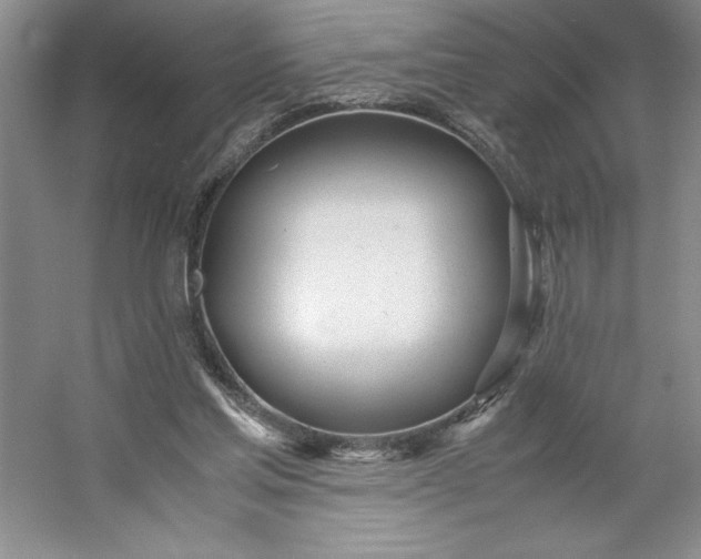 X0000053110205200507251706