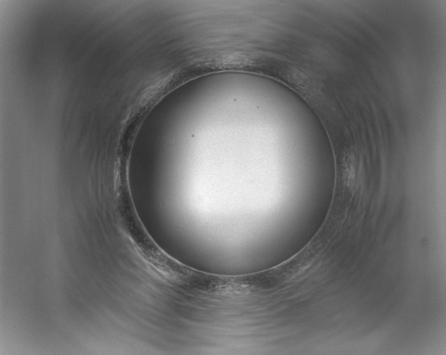 X0000053110206200507251705