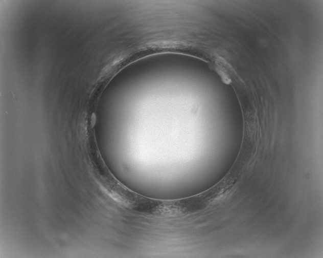 X0000053110207200507251705