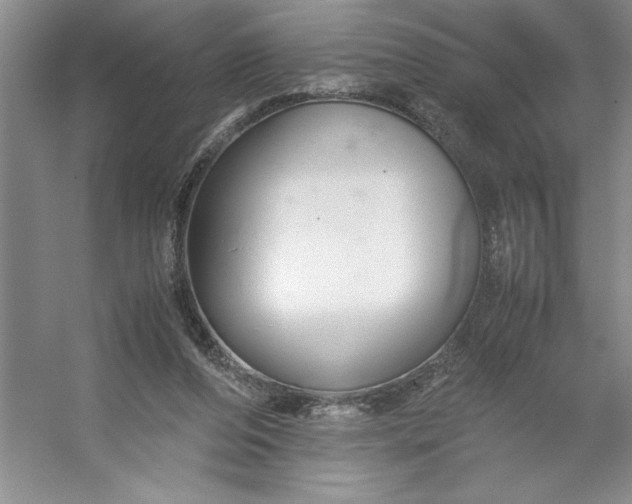 X0000053110208200507251705