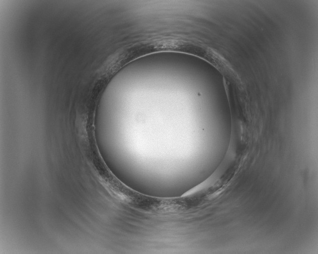 X0000053110209200507251705