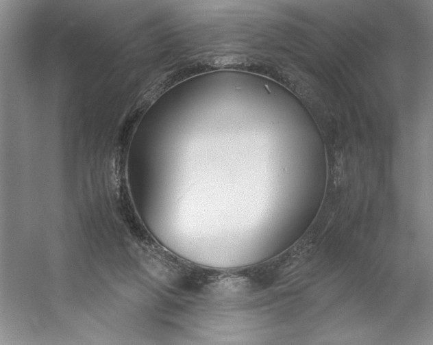 X0000053110210200507251705