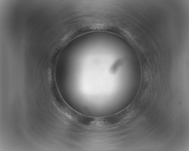 X0000053110211200507251705