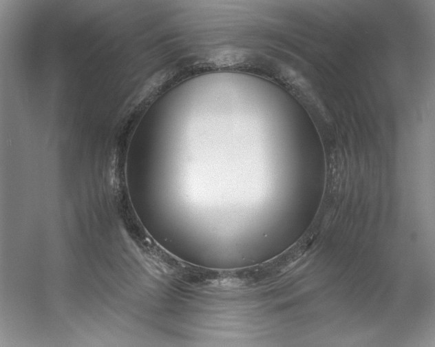 X0000053110212200507251705