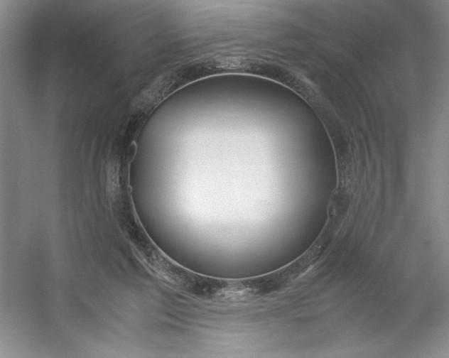 X0000053110213200507251705