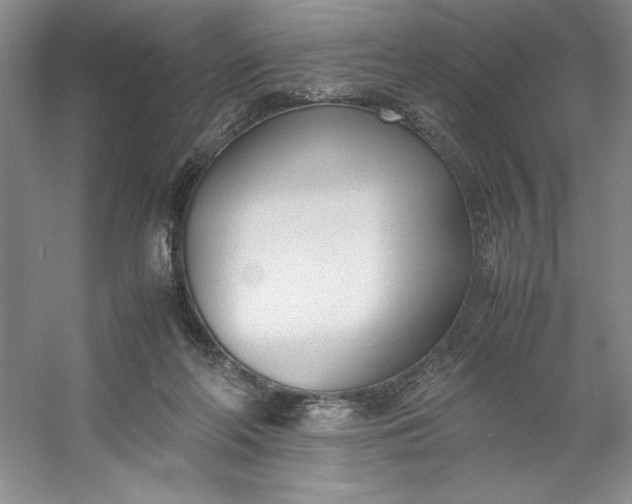 X0000053110214200507251705