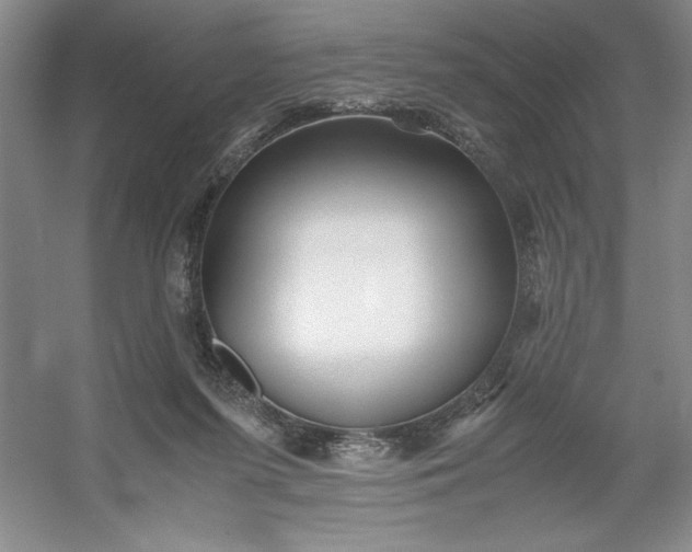 X0000053110215200507251705