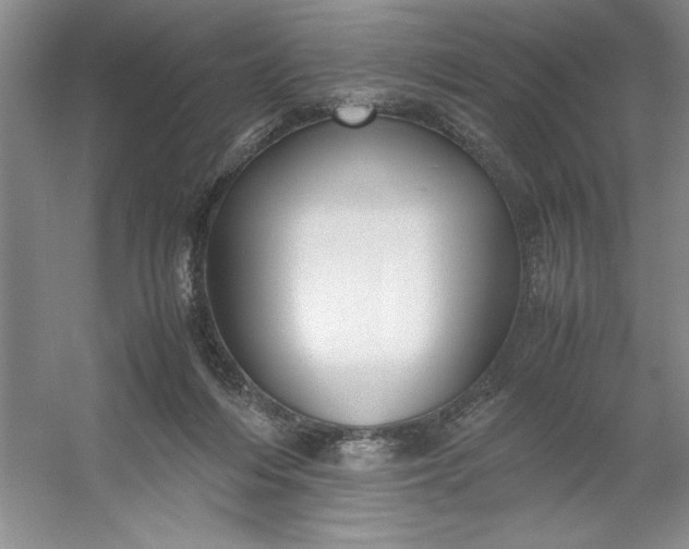 X0000053110216200507251705