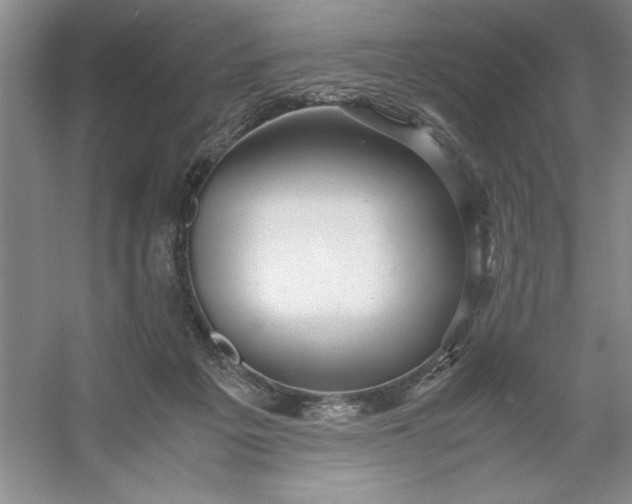 X0000053110217200507251705