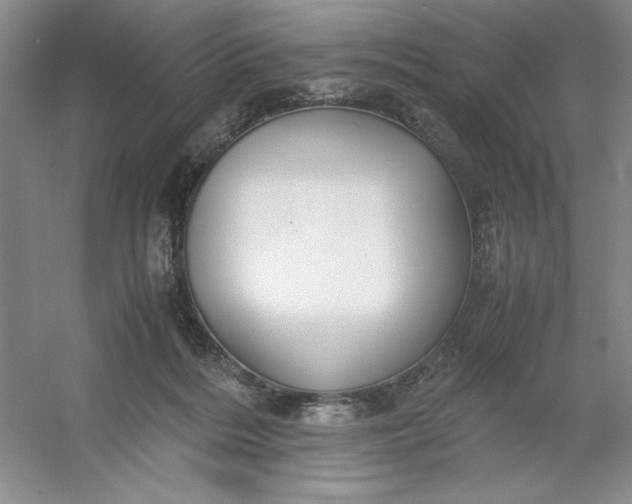 X0000053110220200507251705