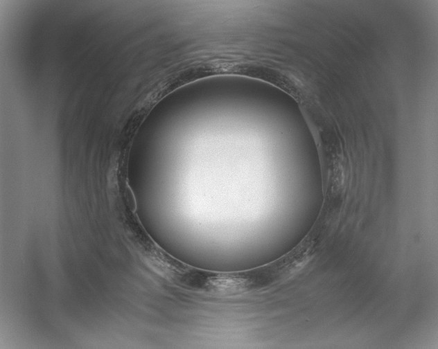 X0000053110221200507251705