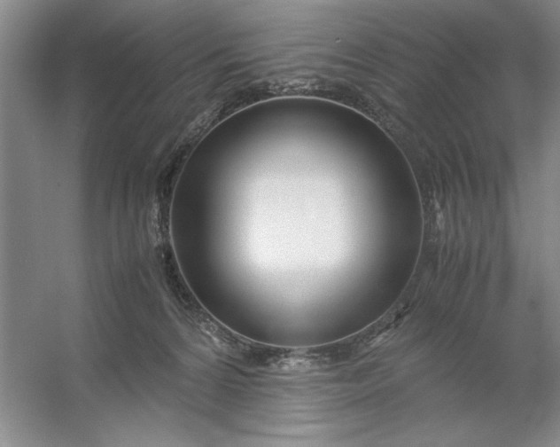 X0000053110224200507251705