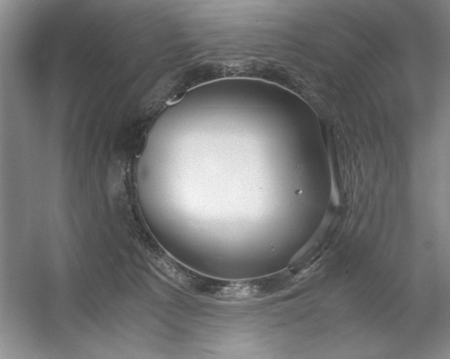 X0000053110225200507251705