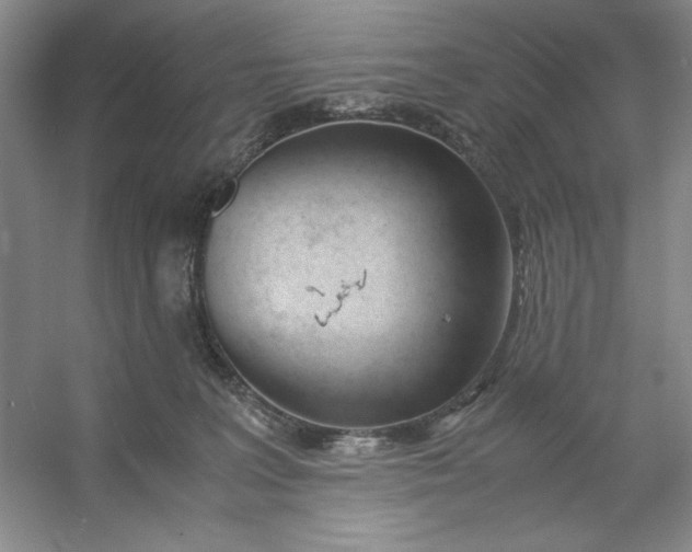 X0000053110227200507251705