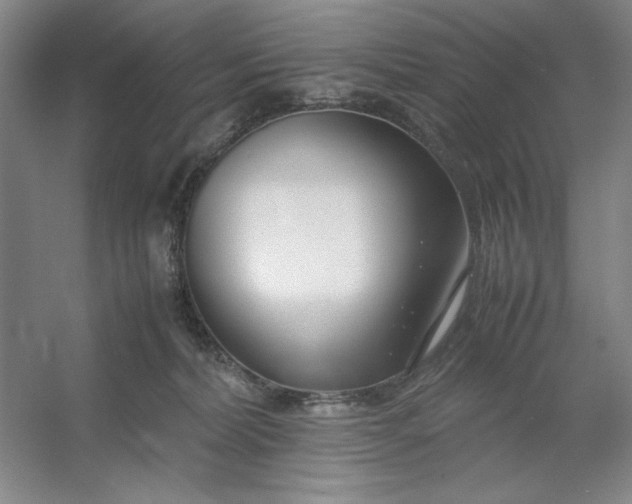 X0000053110228200507251705