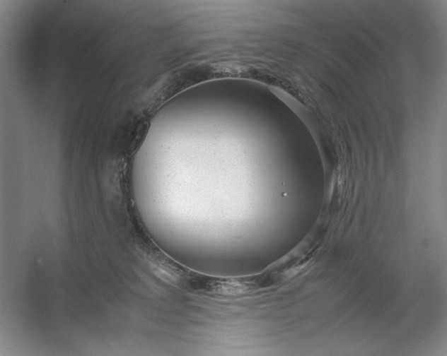 X0000053110229200507251705