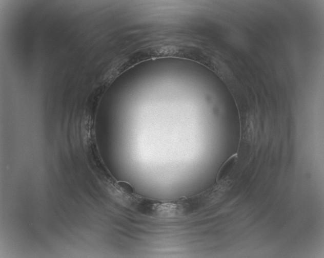 X0000053110230200507251705