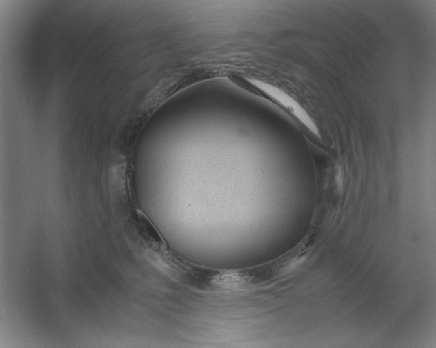 X0000053110231200507251705