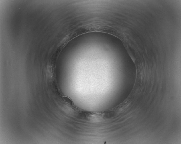 X0000053110232200507251705