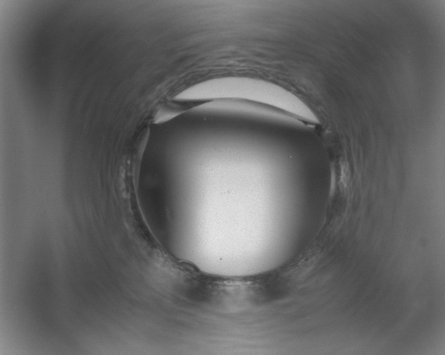 X0000053110233200507251705