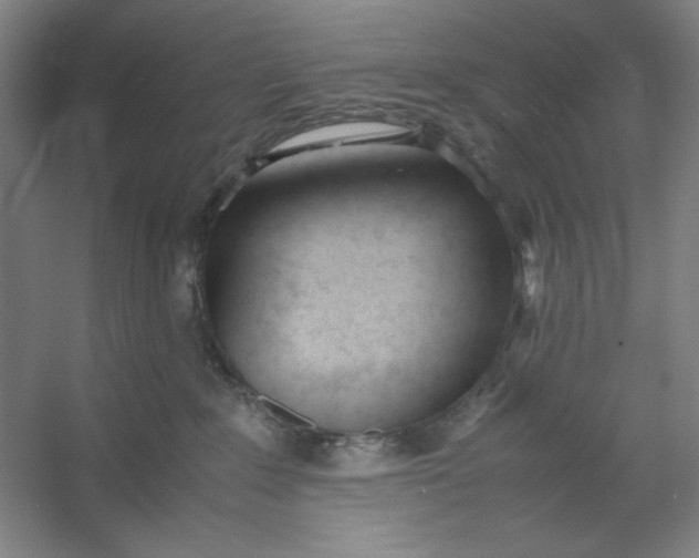 X0000053110235200507251705