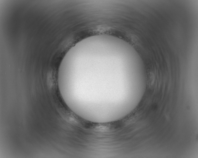 X0000053110236200507251705