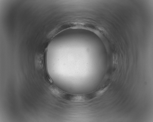 X0000053110237200507251705