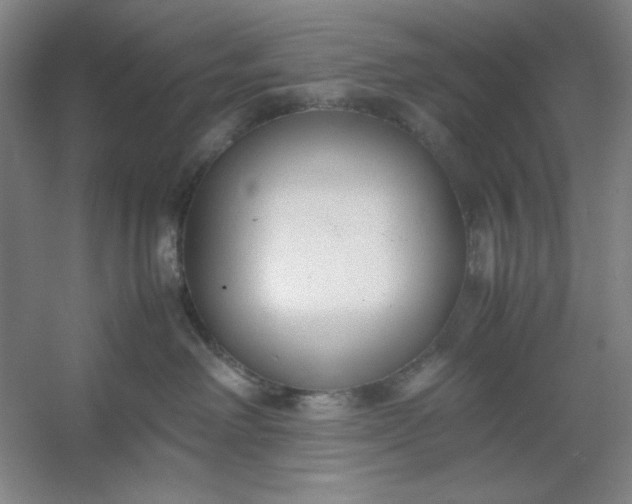 X0000053110238200507251705