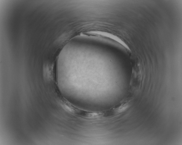 X0000053110239200507251705