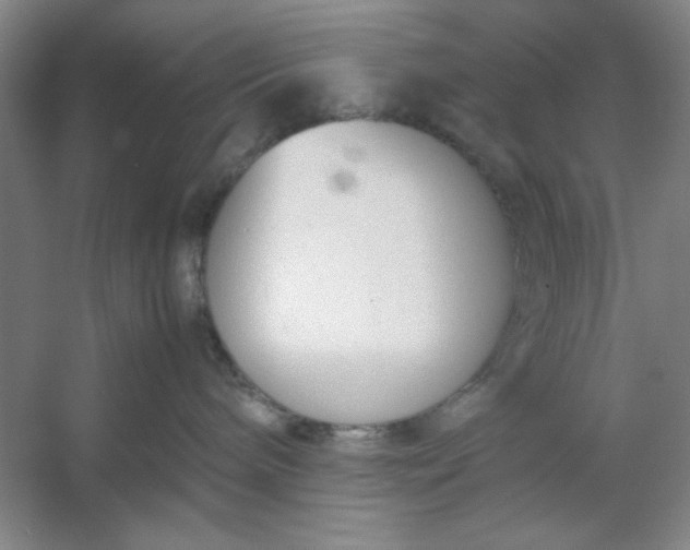 X0000053110240200507251705